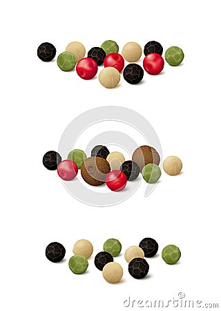 Peppercorn medley mixes green, black, pink, white and allspice Vector Illustration